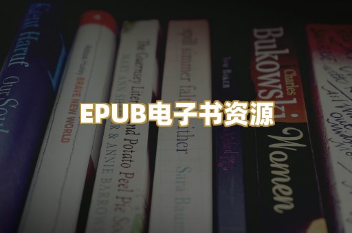 EPUB电子书资源